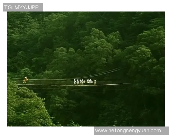 足球明星的荣耀与挑战：从绿茵场到人生舞台的精彩旅程