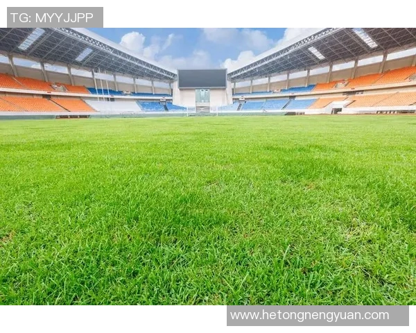 2012欧洲杯场馆全景探秘各大比赛场地及其历史文化背景分析