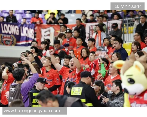 NBA篮球队球迷热情高涨如何提升观赛体验与球队互动