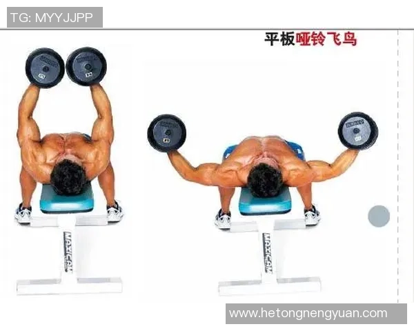 使用哑铃锻炼背部肌肉的有效方法与技巧解析